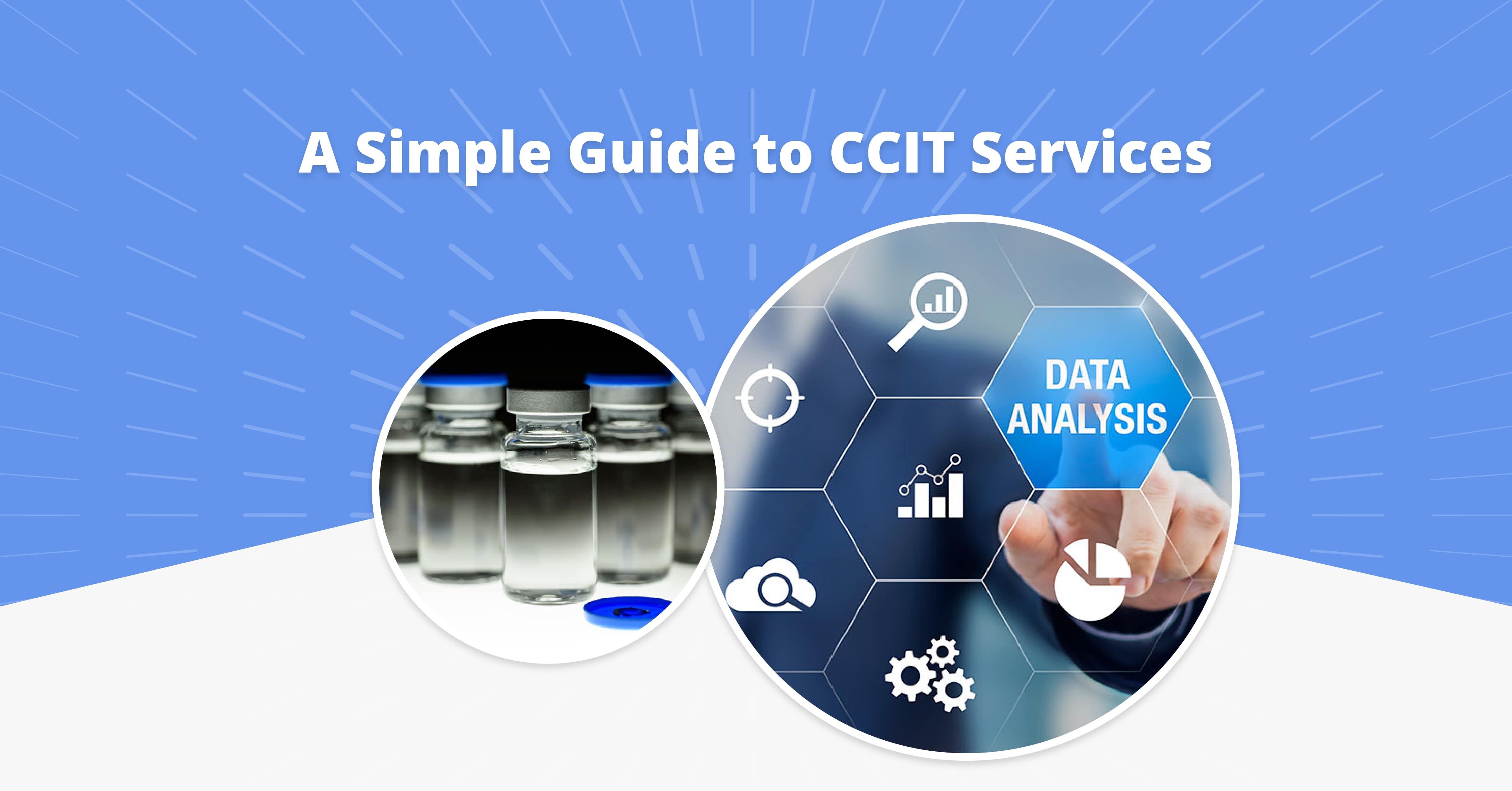 A Simple Guide to CCIT Services